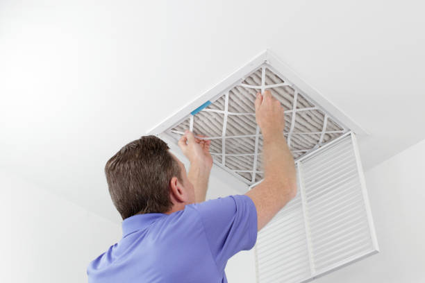 HVAC System Cleaning in Lutz, FL